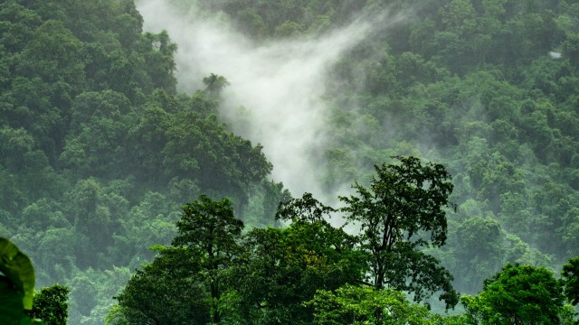 La identidad que construiste para sobrevivir puede estar limitándote hoy