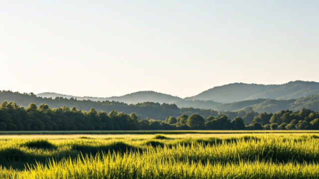 Responsabilidad sin culpa: el punto donde comienza el poder